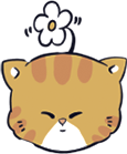 猫咪表情7